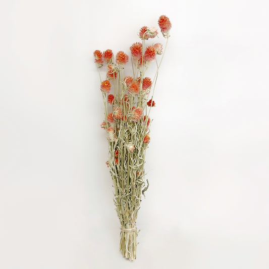 Dried Coral Globe Amaranth Bouquet