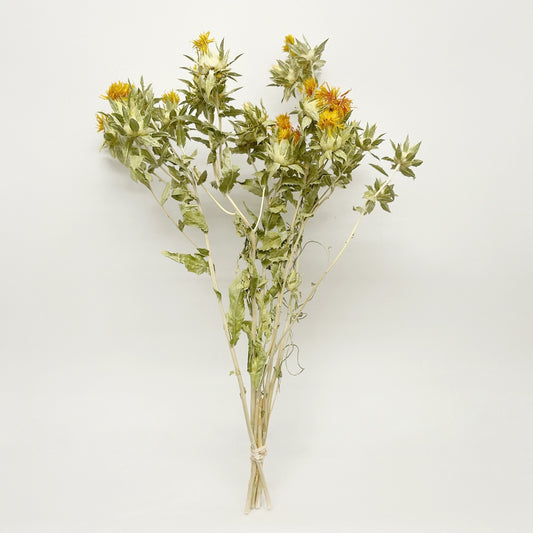 Dried Yellow Safflower Bouquet