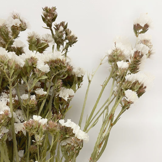 Dried White Sinuata Statice Bouquet