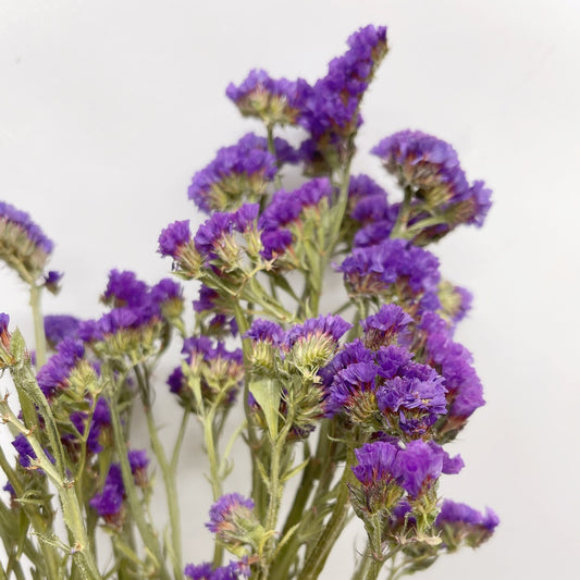 Dried Dark Purple Sinuata Statice Bouquet