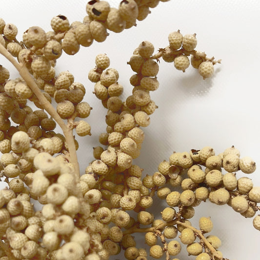 Dried Canella Berries Bouquet